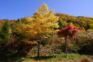 奥飛騨の紅葉