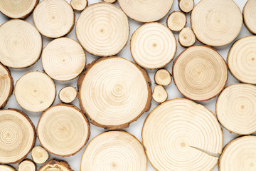 Pine tree cross-sections with annual rings on white background. Lumber piece close-up shot, top view.
