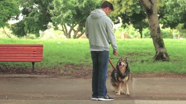 Man training his dog at the park, the dog starts running and the man falls down