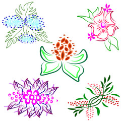 Fantasy flowers elements set.