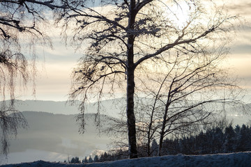 A wonderful winter landscape in beautiful Bavaria