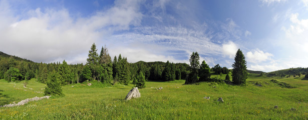Bergwiese im Naturreservat Bijele und Samarske Stijene (Velika Kapela), Kroatien