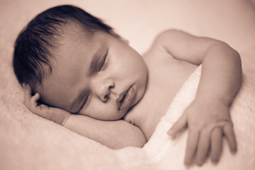 Fototapeta na wymiar new born baby shooting, girl, 2 months old