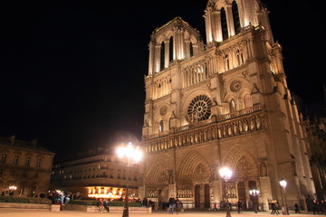 Fototapeta na wymiar Notre Dame Cathedral in Paris and its lighting at night, France