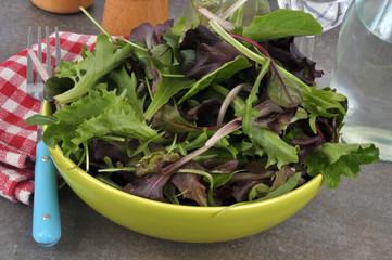 Assiette de mélange de salades 