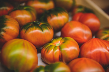 Heirloom Tomatoes