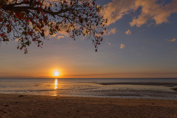 sunset at a beach, a branch and clouds  are colored and sun lighted the sea in low tide, a tranquil scene in a summer evening vacation mood 