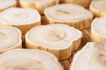 Texture of cross section juniper wood. Pattern of tree stump background. Circles slice of juniper.