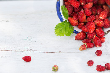 Wild strawberries with plant leaf in a metal mug on a wooden white background, healthy eating...