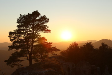 Sunrise sunset palatine forrest germany