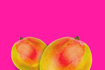 Pair of whole ripe mango on pink background with copy space for your text