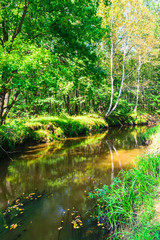 Colorful, Sunny, summer landscape, view of the river flowing in the forest. Vertical orientation.