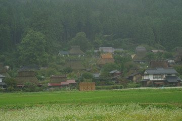 日本　田舎　京都府　美山町　日本家屋　田舎　かやぶきの里　秋