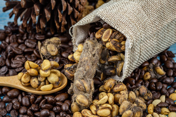 Civet coffee Bright morning drink