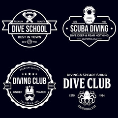 Fototapeta premium Set of Scuba diving club and diving school design. Concept for shirt or logo, print, stamp or tee. Vintage typography design with diving gear silhouette