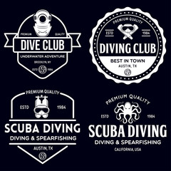 Fototapeta premium Set of Scuba diving club and diving school design. Concept for shirt or logo, print, stamp or tee. Vintage typography design with diving gear silhouette