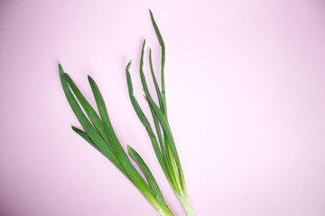Young Green Onions, Young Green Onions, pink background