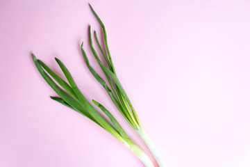 Young Green Onions, Young Green Onions, pink background