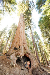 Fototapeta na wymiar Hiker in Sequoia national park in California, USA