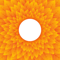 abstract nature orange circular background