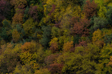 Fototapeta premium Jesienny krajobraz