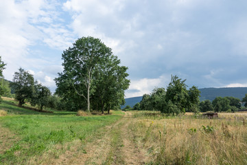 Fototapeta premium Landschaft im Spessart