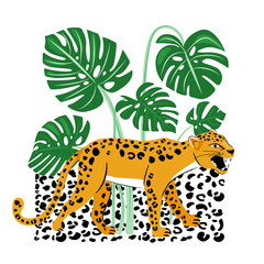 Illustration with snarling leopard and green split-leaf monstera. Fashion exotic jungle drawing for t-shirts and poster prints. Vector illustration on white background.