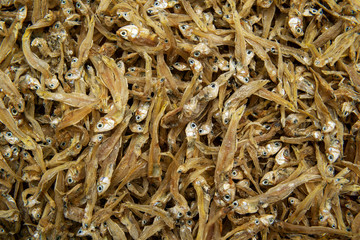 Salted sun dried fish in the market