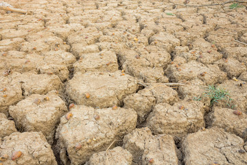 Cracked soil