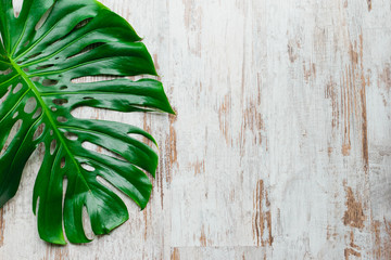 green monstera deliciosa  leaf on  shabby wooden background