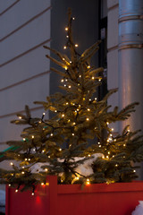 christmas tree with lights in the background