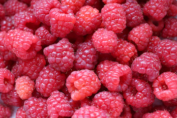 ラズベリー