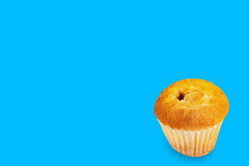 Whole baked muffin without cream in paper form on blue background with copy space for your text