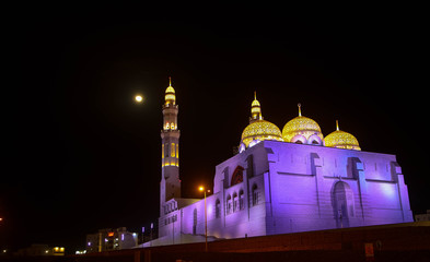 Fototapeta na wymiar Moschee im Mondschein