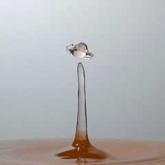 Wasser, Wassertropfen, Wasserspritzer, Wassertropfenkollision, Watersplash, Splasch, Platsch,...
