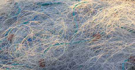 fishing net entanglement