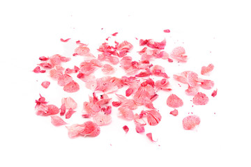 fallen pink red petals of a geranium plant isolated on a white background. Wallpaper