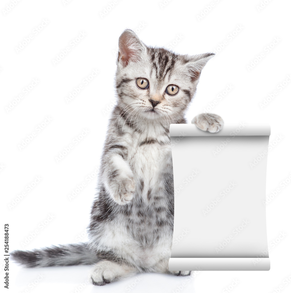 Poster Cat with empty list. isolated on white background
