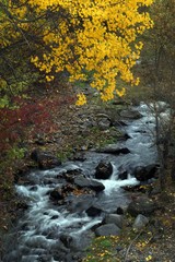 Autumn forest and village photos.savsat/artvin turkey 