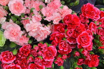 market on the road in Vietnam