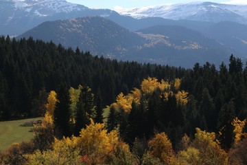 Autumn forest and village photos.savsat/artvin turkey 