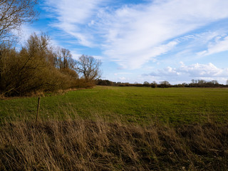 Fototapeta premium Graslandschaft mit blauem himmel