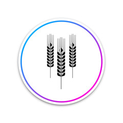 Cereals icon set with rice, wheat, corn, oats, rye, barley sign isolated on white background. Ears of wheat bread symbols. Agriculture wheat symbol. Circle white button. Vector Illustration