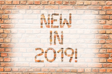 Text sign showing New In 2019. Business photo text upcoming year resolution Advertising new product Specs Brick Wall art like Graffiti motivational call written on the wall