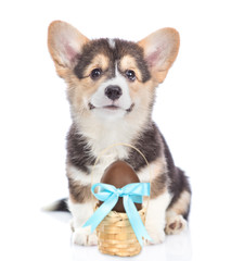 Corgi puppy with Easter basket with chocolate egg. Isolated on white background