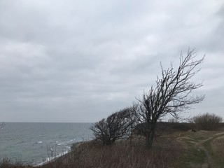 Fototapeta na wymiar coast of island rügen