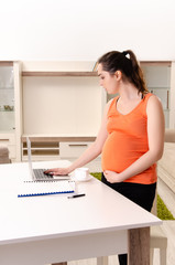 Young pregnant woman working at home 