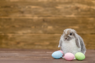 Easter rabbit with colorful eggs on wooden background. Empty space for text