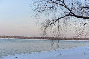 winter landscape with trees and river