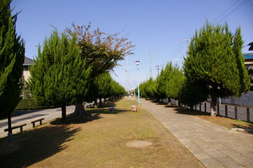 日本　公園　大阪　門真市